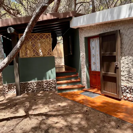 Rustico 30 Mt Dalla Porto Pino